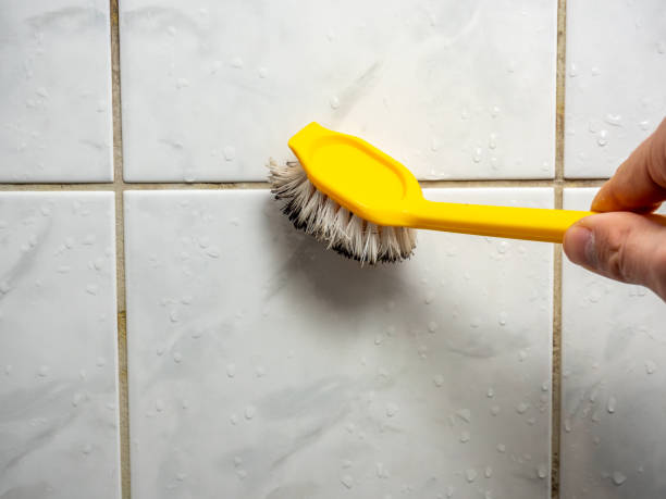 Best Office Mold Removal Services  in Baldwin, LA
