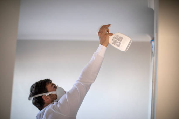 Best Mold Testing  in Baldwin, LA