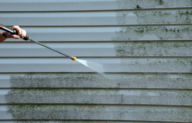 Best Professional Mold Removal  in Baldwin, LA