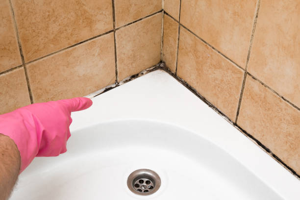 Best Certified Mold Removal  in Baldwin, LA